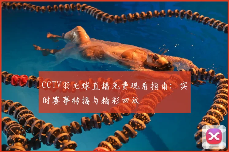 CCTV羽毛球直播免费观看指南：实时赛事转播与精彩回放