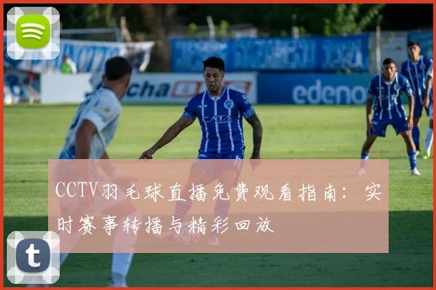 CCTV羽毛球直播免费观看指南：实时赛事转播与精彩回放